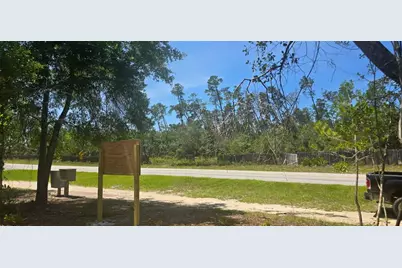 Ne 236th Court, Fort Mc Coy, FL 32134 - Photo 4