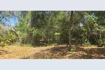 Ne 236th Court, Fort Mc Coy, FL 32134 - Photo 2