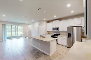 26130 Fantasy Sky Ln., Lutz, FL 33559 - Photo 4