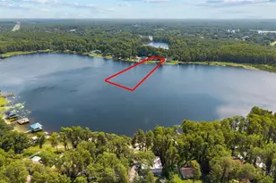 18714 Arbor Dr, Lutz, FL 33548 - Photo 10
