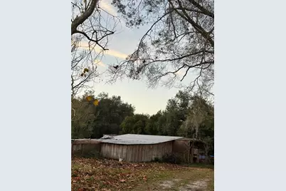 3633 Apfel Road, Wesley Chapel, FL 33543 - Photo 10