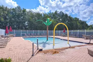 19707 Ellendale Dr, Land O Lakes, FL 34638 - Photo 60