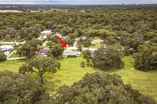 936 N Riverhills Dr, Tampa, FL 33617 - Photo 2