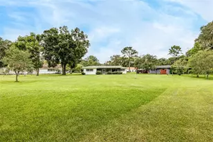 936 N Riverhills Dr, Tampa, FL 33617 - Photo 12