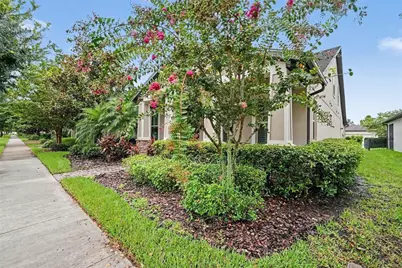 12890 Payton Street, Odessa, FL 33556 - Photo 6
