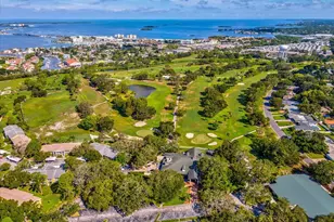 1006 Dumont Dr, Dunedin, FL 34698 - Photo 68