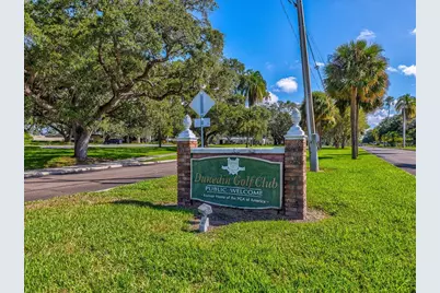 1006 Dumont Drive, Dunedin, FL 34698 - Photo 66