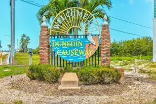 1006 Dumont Dr, Dunedin, FL 34698 - Photo 72