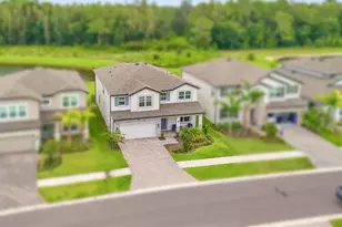 10726 New Morning Dr, Tampa, FL 33647 - Photo 4