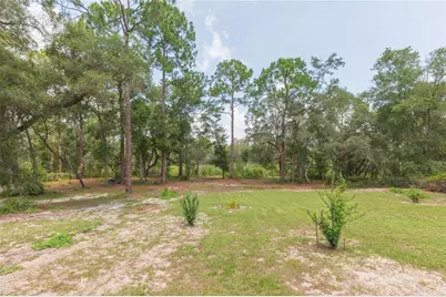 34299 Belt Drive, Dade City, FL 33523 - Photo 62