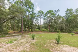 34299 Belt Dr, Dade City, FL 33523 - Photo 62