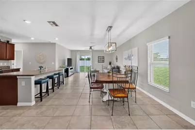 5119 White Chicory Drive, Apollo Beach, FL 33572 - Photo 16