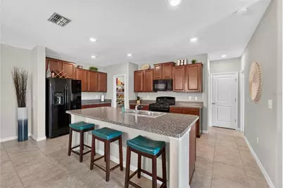 5119 White Chicory Drive, Apollo Beach, FL 33572 - Photo 20