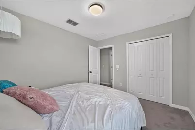 5119 White Chicory Drive, Apollo Beach, FL 33572 - Photo 64