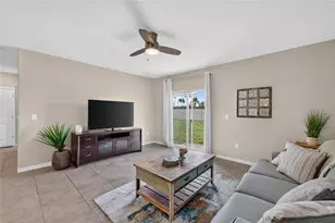 5119 White Chicory Dr, Apollo Beach, FL 33572 - Photo 6