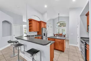 16405 Bridgewalk Dr, Lithia, FL 33547 - Photo 14