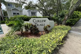 1383 Curlew Rd, Dunedin, FL 34698 - Photo 2