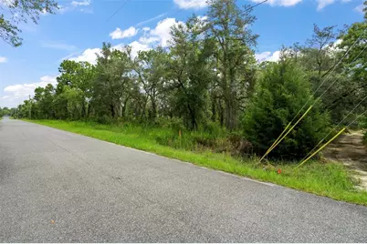 12250 Marvelwood Road, Weeki Wachee, FL 34614 - Photo 2