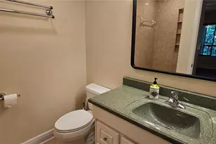 11722 Raintree Lake Ln, Tampa, FL 33617 - Photo 28