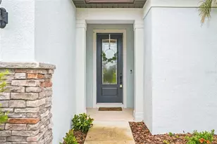4678 Dover Bluff Ct, Valrico, FL 33594 - Photo 4
