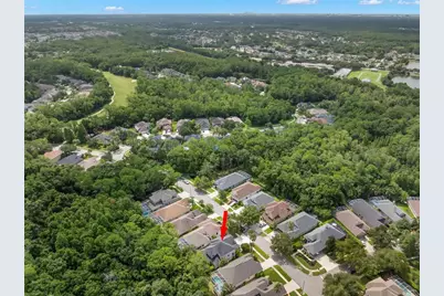 9706 Gretna Green Drive, Tampa, FL 33626 - Photo 38