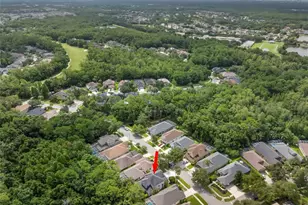9706 Gretna Grn Dr, Tampa, FL 33626 - Photo 38