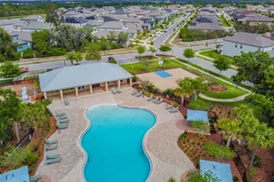 11002 Little Blue Heron Dr, Riverview, FL 33579 - Photo 52
