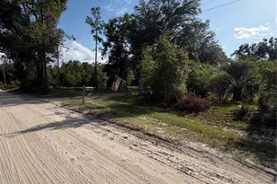 5649 209th Rd, Live Oak, FL 32060 - Photo 46