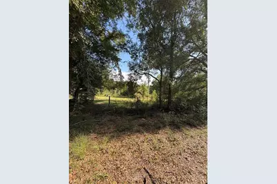 5649 209th Road, Live Oak, FL 32060 - Photo 60