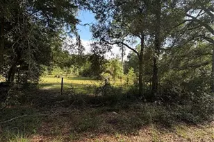 5649 209th Rd, Live Oak, FL 32060 - Photo 60