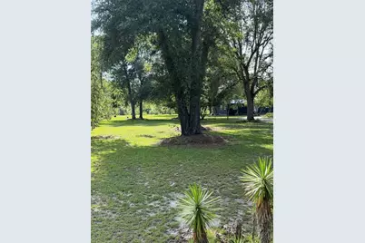 5649 209th Road, Live Oak, FL 32060 - Photo 4