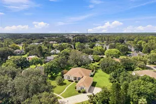 13750 Dowling Ln, Odessa, FL 33556 - Photo 1