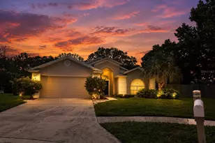 28427 Sunvale Pl, Wesley Chapel, FL 33543 - Photo 2