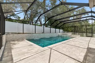 2719 Calvano Dr, Land O Lakes, FL 34639 - Photo 66