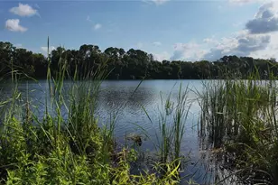 8512 Oleander Flower Ln, Tampa, FL 33614 - Photo 20