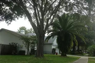 9673 Fox Hearst Rd, Tampa, FL 33647 - Photo 12