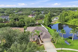 10113 Cannon Dr, Riverview, FL 33578 - Photo 40