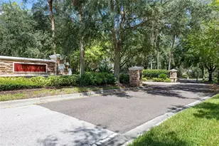 15910 Ternglade Dr, Lithia, FL 33547 - Photo 74