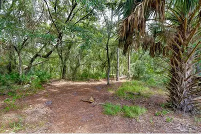 8551 Trail Wind Drive, Tampa, FL 33647 - Photo 40