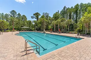 19237 Falcon Crest Blvd, Land O Lakes, FL 34638 - Photo 62