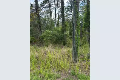 8131 Nightingale Road, Weeki Wachee, FL 34613 - Photo 2