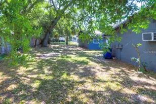 8123 N Alaska St, Tampa, FL 33604 - Photo 22