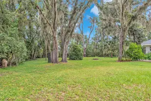 6034 Hammock Hill Ave, Lithia, FL 33547 - Photo 54