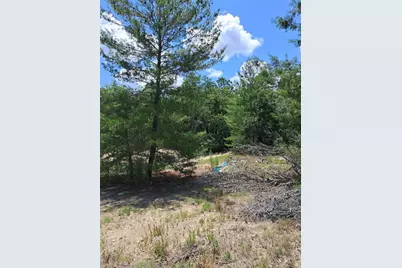 0 SW 65 Ave Road, Ocala, FL 34473 - Photo 1