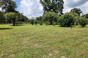 3903 Powerline Rd, Lithia, FL 33547 - Photo 2