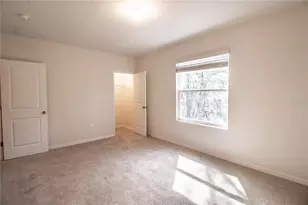 3333 Pleasant Willow Ct, Brandon, FL 33511 - Photo 16