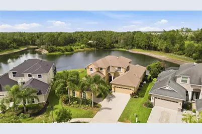 3431 Diamond Falls Circle, Land O Lakes, FL 34638 - Photo 58