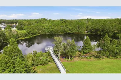 3431 Diamond Falls Circle, Land O Lakes, FL 34638 - Photo 64
