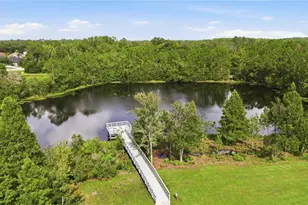 3431 Diamond Falls Cir, Land O Lakes, FL 34638 - Photo 64