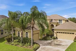 3431 Diamond Falls Cir, Land O Lakes, FL 34638 - Photo 74